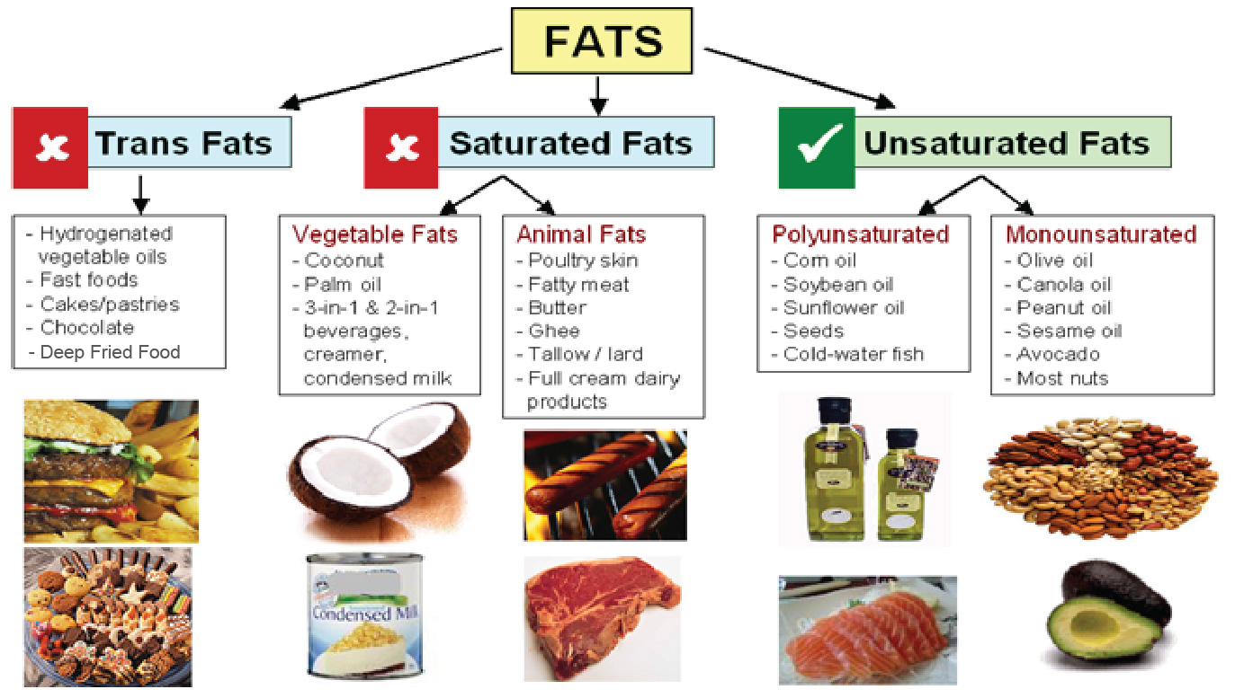 Different types of fats